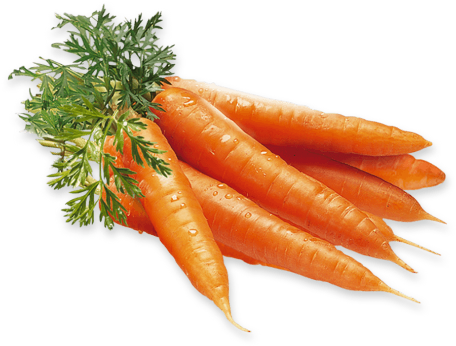 CARROT